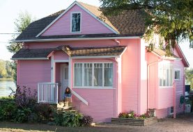 Little Pink House: rilasciato il trailer di un'epica battaglia legale guidata da Catherine Keener