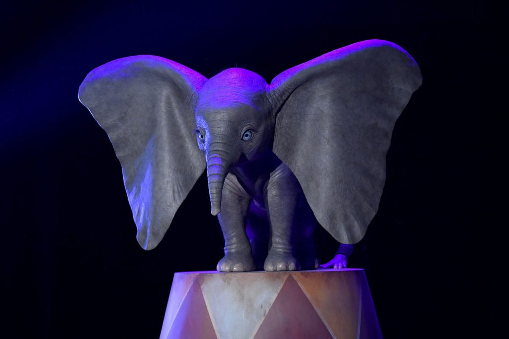 Dumbo