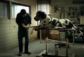 Dogman rappresenterà l'Italia agli Oscar