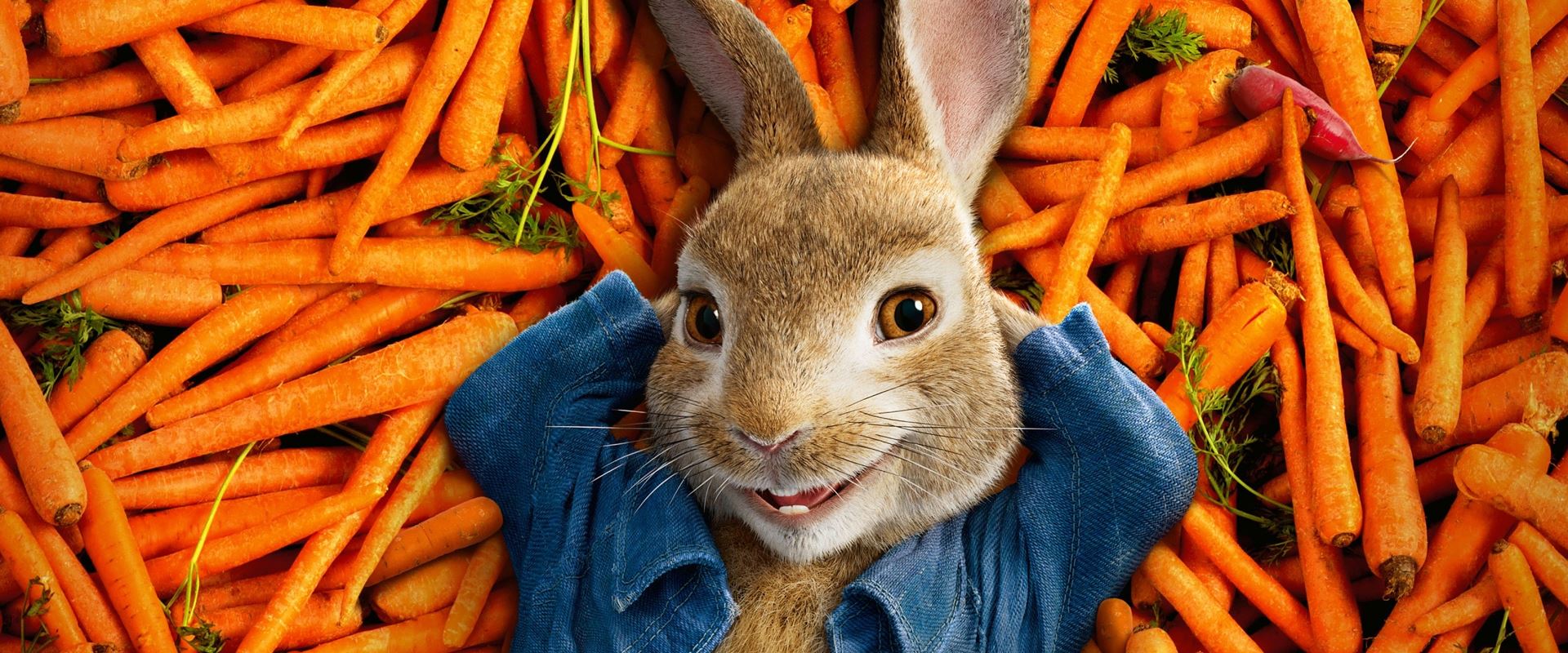 Peter Rabbit – Recensione